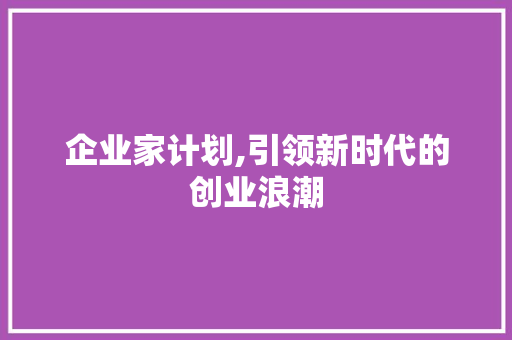 企业家计划,引领新时代的创业浪潮
