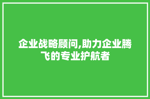 企业战略顾问,助力企业腾飞的专业护航者
