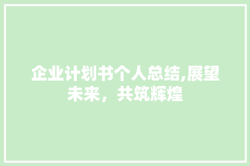 企业计划书个人总结,展望未来，共筑辉煌