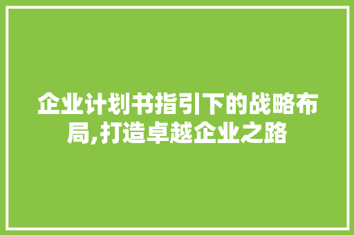 企业计划书指引下的战略布局,打造卓越企业之路