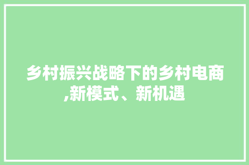 乡村振兴战略下的乡村电商,新模式、新机遇