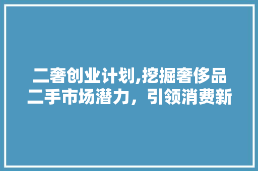 二奢创业计划,挖掘奢侈品二手市场潜力，引领消费新风尚