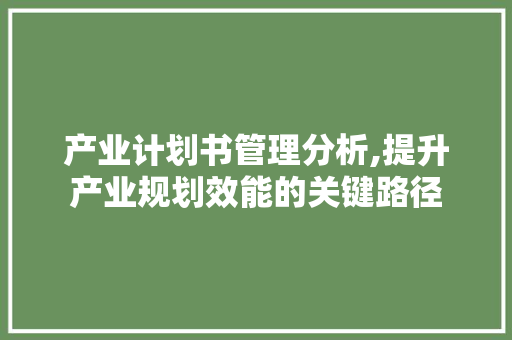 产业计划书管理分析,提升产业规划效能的关键路径