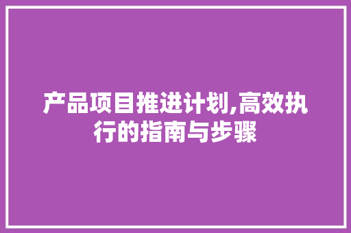 产品项目推进计划,高效执行的指南与步骤