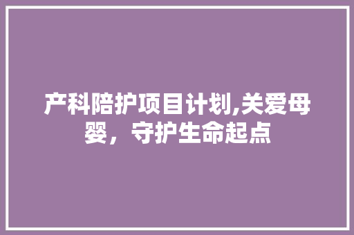产科陪护项目计划,关爱母婴，守护生命起点
