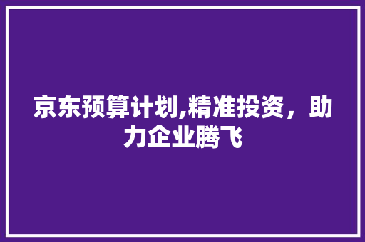 京东预算计划,精准投资，助力企业腾飞