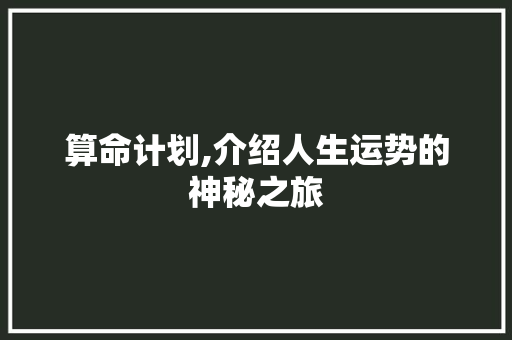 算命计划,介绍人生运势的神秘之旅