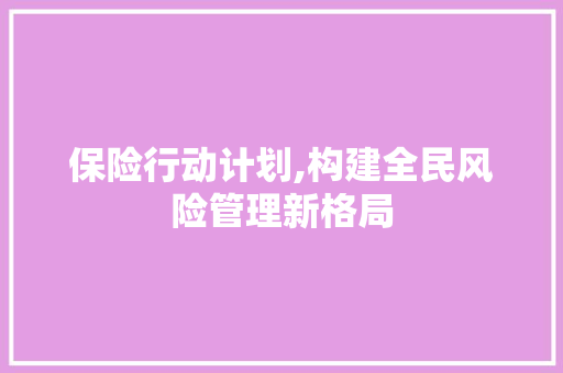 保险行动计划,构建全民风险管理新格局