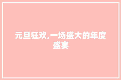 元旦狂欢,一场盛大的年度盛宴