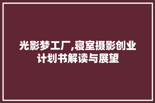 光影梦工厂,寝室摄影创业计划书解读与展望