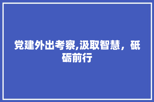 党建外出考察,汲取智慧，砥砺前行