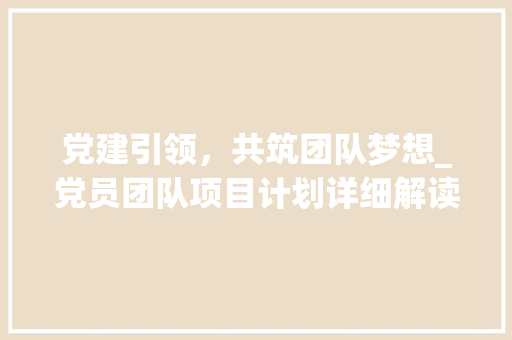 党建引领，共筑团队梦想_党员团队项目计划详细解读