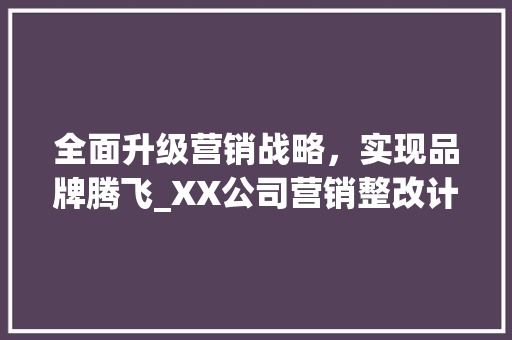 全面升级营销战略，实现品牌腾飞_XX公司营销整改计划书