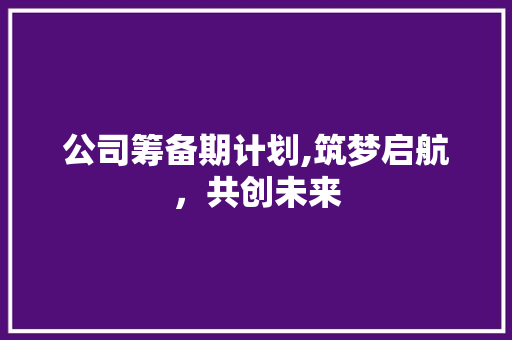 公司筹备期计划,筑梦启航，共创未来