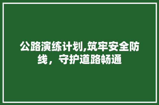 公路演练计划,筑牢安全防线，守护道路畅通