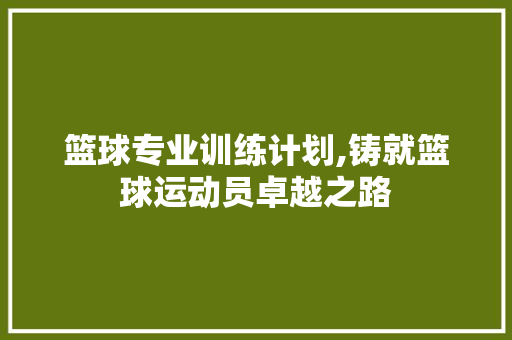 篮球专业训练计划,铸就篮球运动员卓越之路