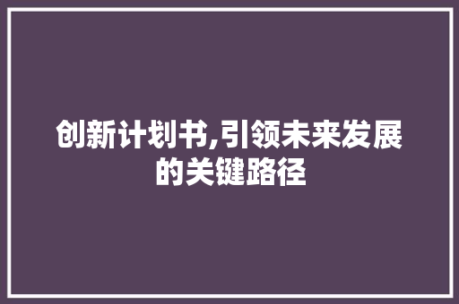 创新计划书,引领未来发展的关键路径