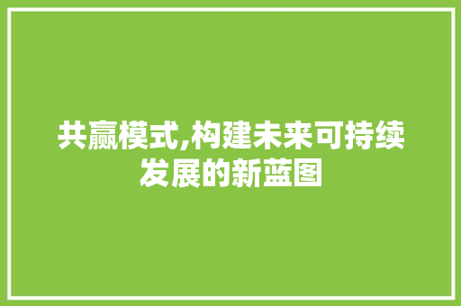共赢模式,构建未来可持续发展的新蓝图