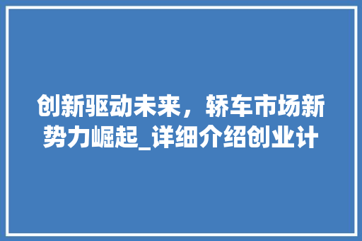 创新驱动未来，轿车市场新势力崛起_详细介绍创业计划书