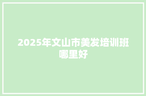 2025年文山市美发培训班哪里好