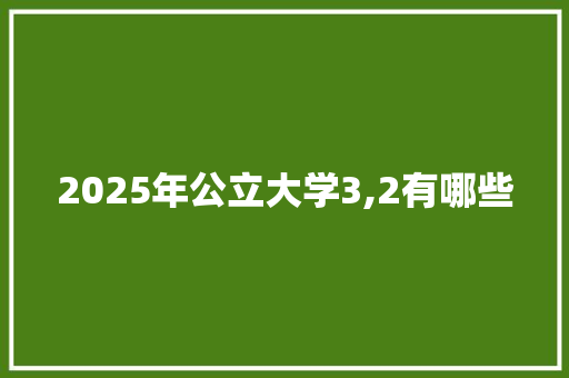 2025年公立大学3,2有哪些