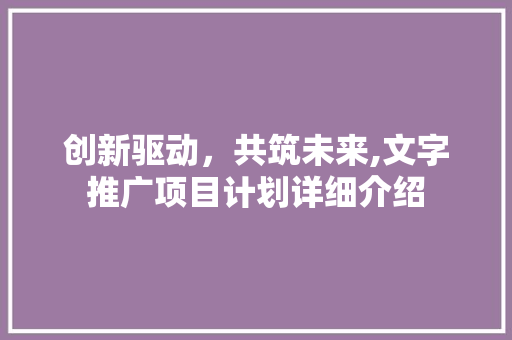 创新驱动，共筑未来,文字推广项目计划详细介绍