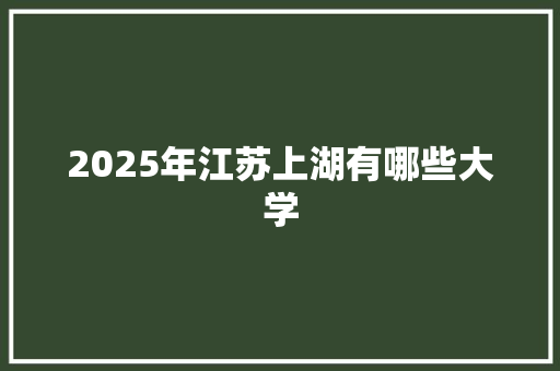 2025年江苏上湖有哪些大学