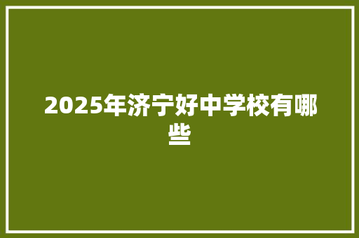 2025年济宁好中学校有哪些