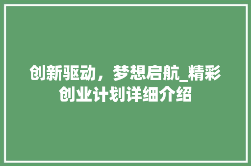 创新驱动，梦想启航_精彩创业计划详细介绍