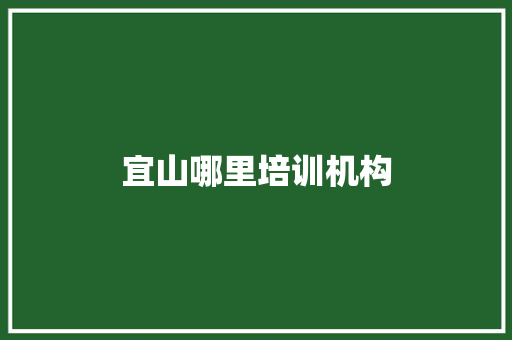 宜山哪里培训机构 成语汇编