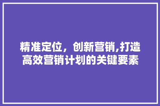 精准定位，创新营销,打造高效营销计划的关键要素
