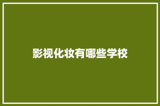 影视化妆有哪些学校