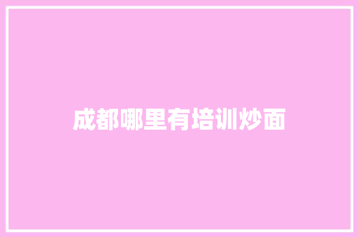 成都哪里有培训炒面