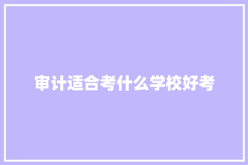 审计适合考什么学校好考