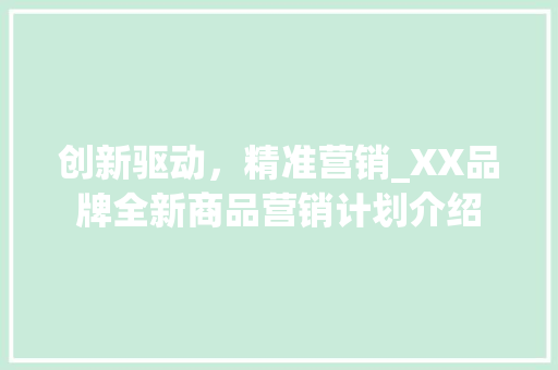创新驱动，精准营销_XX品牌全新商品营销计划介绍