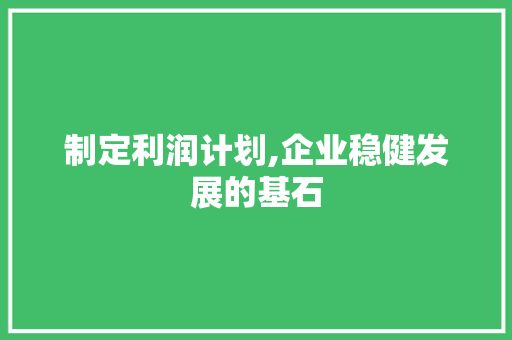 制定利润计划,企业稳健发展的基石