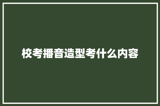 校考播音造型考什么内容