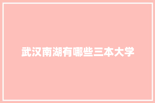 武汉南湖有哪些三本大学