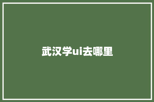 武汉学ui去哪里
