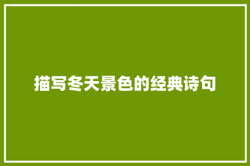 描写冬天景色的经典诗句