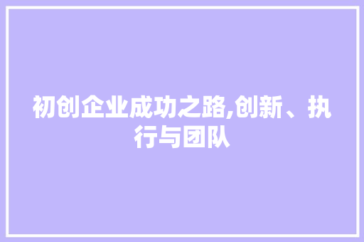 初创企业成功之路,创新、执行与团队