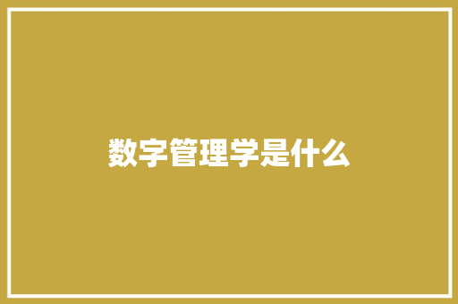 数字管理学是什么