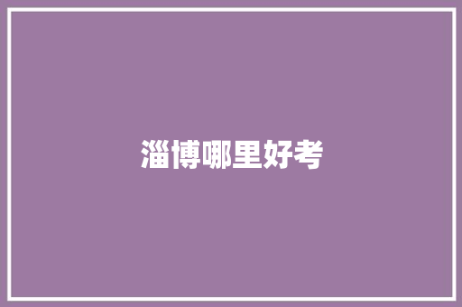 淄博哪里好考