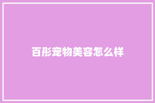 百彤宠物美容怎么样