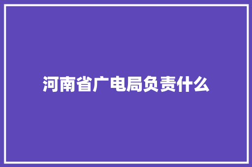 河南省广电局负责什么