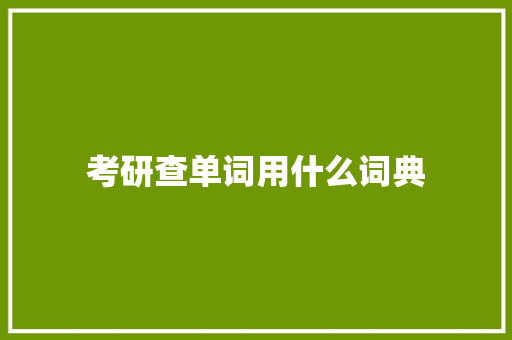 考研查单词用什么词典