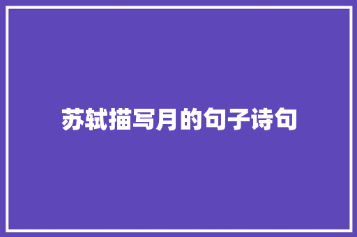 苏轼描写月的句子诗句
