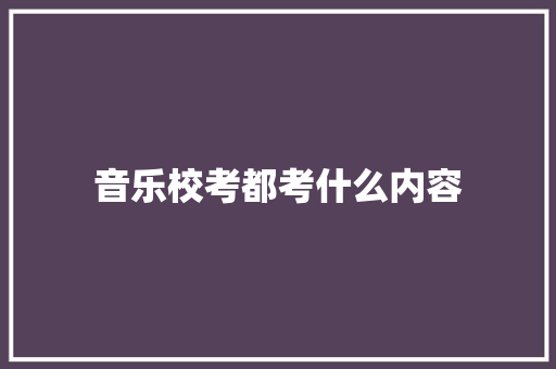 音乐校考都考什么内容