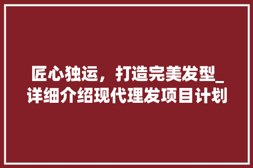 匠心独运，打造完美发型_详细介绍现代理发项目计划
