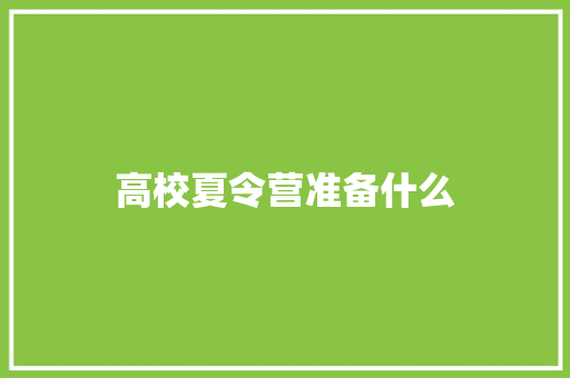 高校夏令营准备什么
